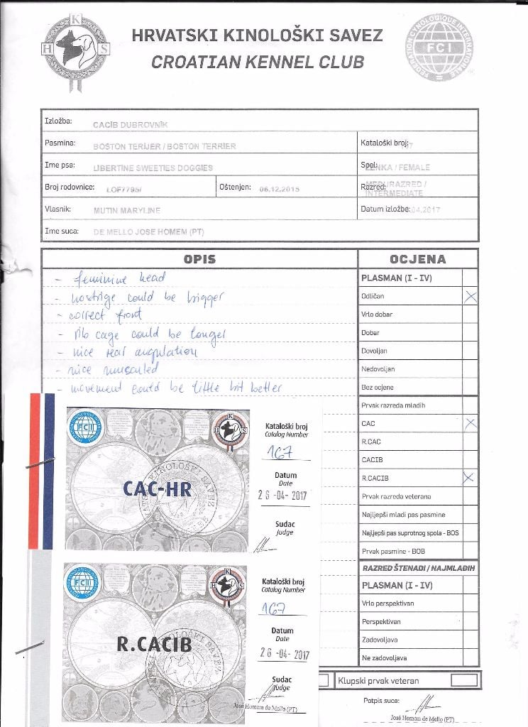 CH. Libertine Sweeties Doggies - 1°EXC CAC RCACIB classe intermédiaire
