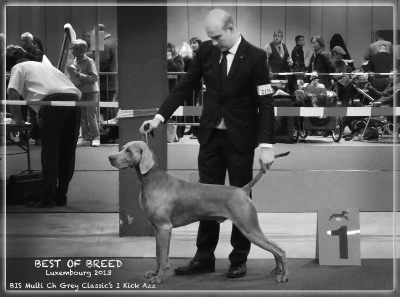 Publication : des Gris d'Urbanou Auteur : GREY CLASSIC'S