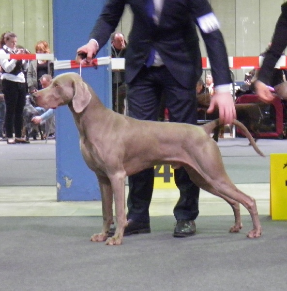 Publication : des Gris d'Urbanou Auteur : GREY CLASSIC'S