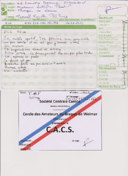 Wintw jch lux jesse Tiroux De Grisant - 1 ERE Excellente Classe Travail