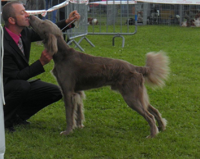 Wintw jch lux jesse Tiroux De Grisant - 1 ER Excellent Classe intermediaire