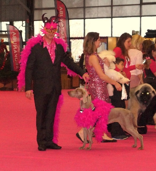 C.i.e ch.g'heka-aleck von atria cordis - 1 ERE EXCELLENTE CLASSE CHAMPION