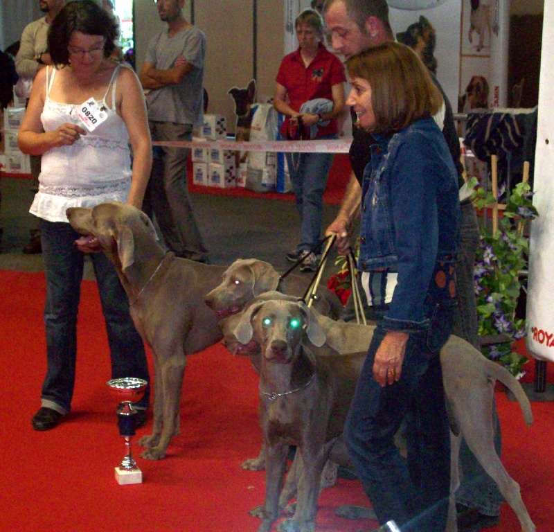 Absyss (Sans Affixe) - 1 ER meilleur LOT GENITEUR