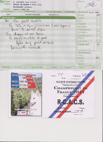 Wintw jch lux jesse Tiroux De Grisant - 1 ERE Excellente Classe Travail