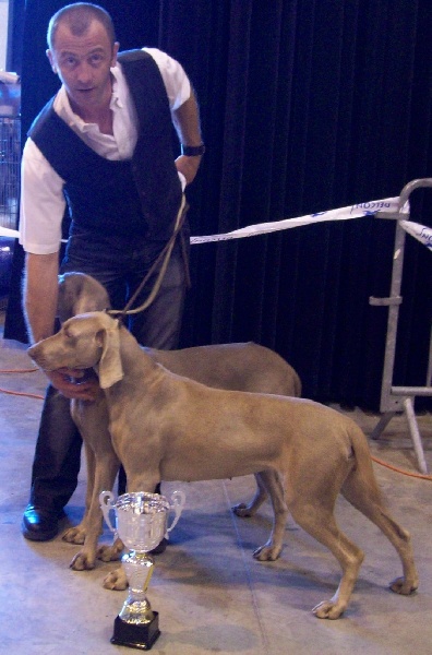 Absyss (Sans Affixe) - 1 ER EXCELLENT