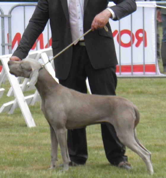 Absyss (Sans Affixe) - 5 Iem Excellente