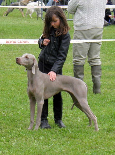 Absyss (Sans Affixe) - 4ieme Trés Bon classe Intermédiaire