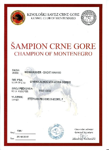 C.i.e ch.g'heka-aleck von atria cordis - championne du monte negro