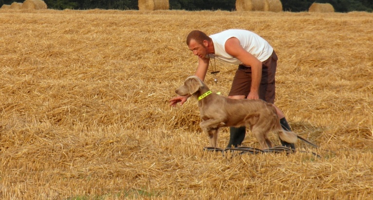 Wintw jch lux jesse Tiroux De Grisant - T.A.N