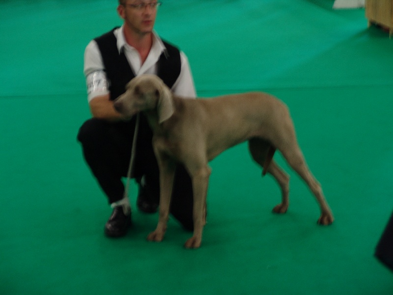 Absyss (Sans Affixe) - 2 IEM TRES BON