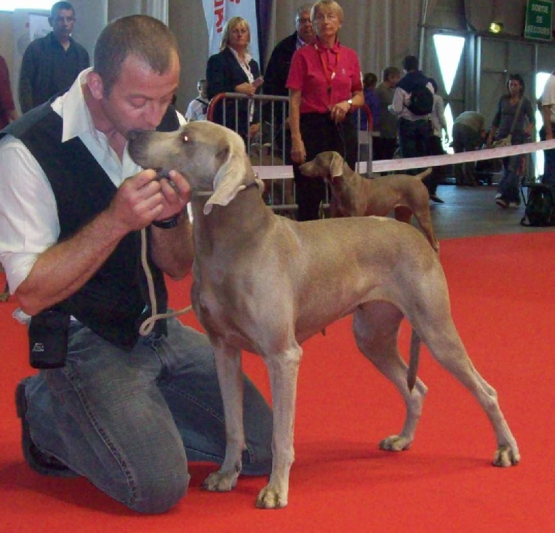 Absyss (Sans Affixe) - CACS CACIB 1 ERE Excellente