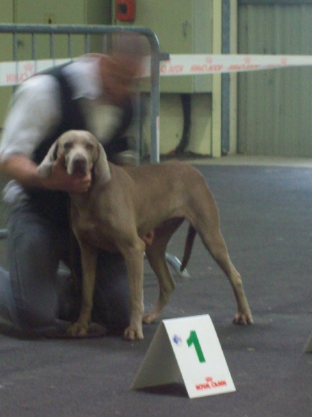 Absyss (Sans Affixe) - 5 Iem Tres Bon