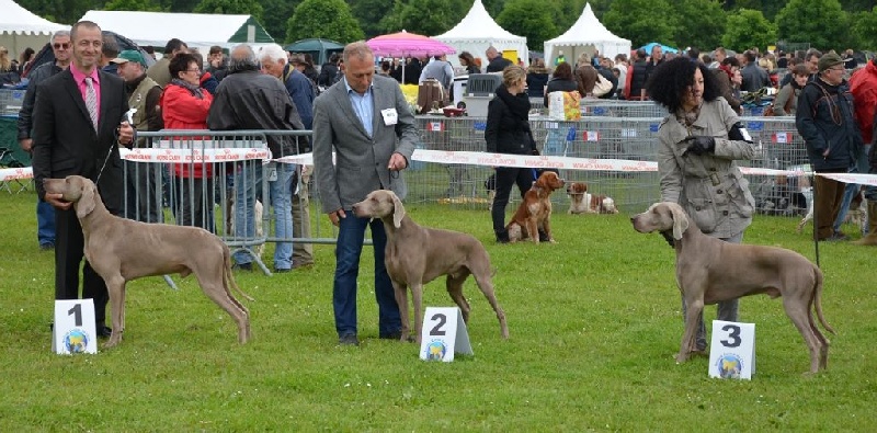 Absyss (Sans Affixe) - 3 iem Excellent Classe Ouverte