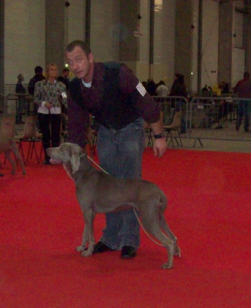 Absyss (Sans Affixe) - 2 IEME EXCELLENTE