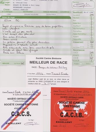 Wintw jch lux jesse Tiroux De Grisant - CACS CACIB BOB