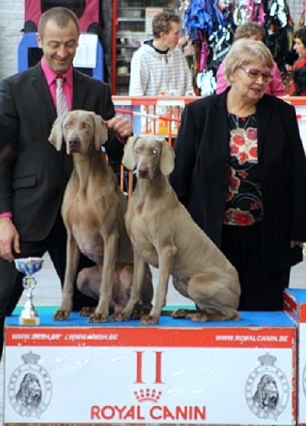 C.i.e ch.g'heka-aleck von atria cordis - 2 IEM meilleur couple R.BIS