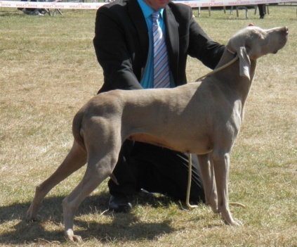 Absyss (Sans Affixe) - 1 excellent CACS