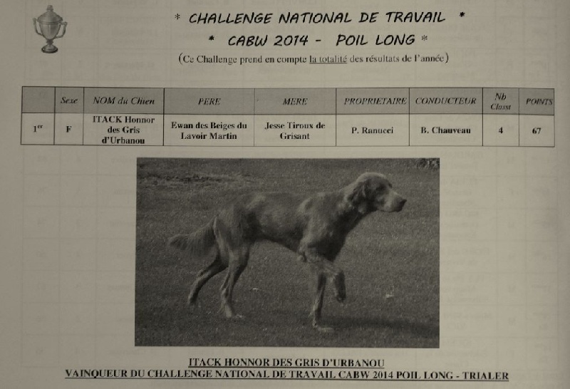 Wintw jch lux jesse Tiroux De Grisant - 1 ERE Challenge National