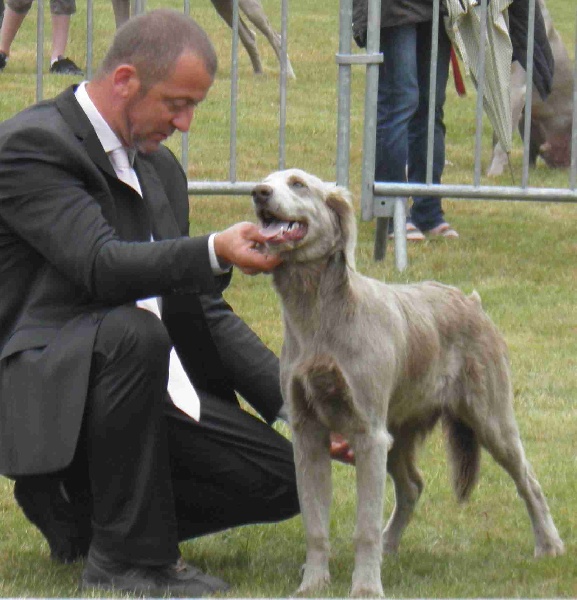 Wintw jch lux jesse Tiroux De Grisant - Trés Prometteur