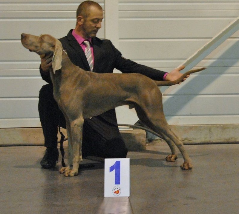 Absyss (Sans Affixe) - HURBAN LITTLE SON DGU