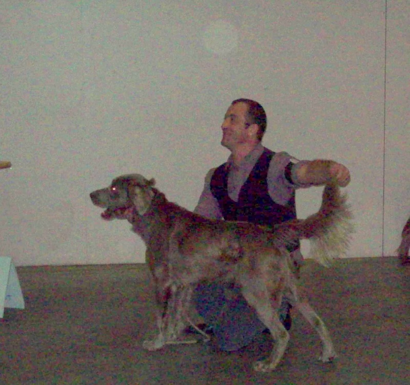 CH. Lux ewan des beiges du lavoir Martin - CACS CACIB 1 ERE Excellent Meilleur de Race