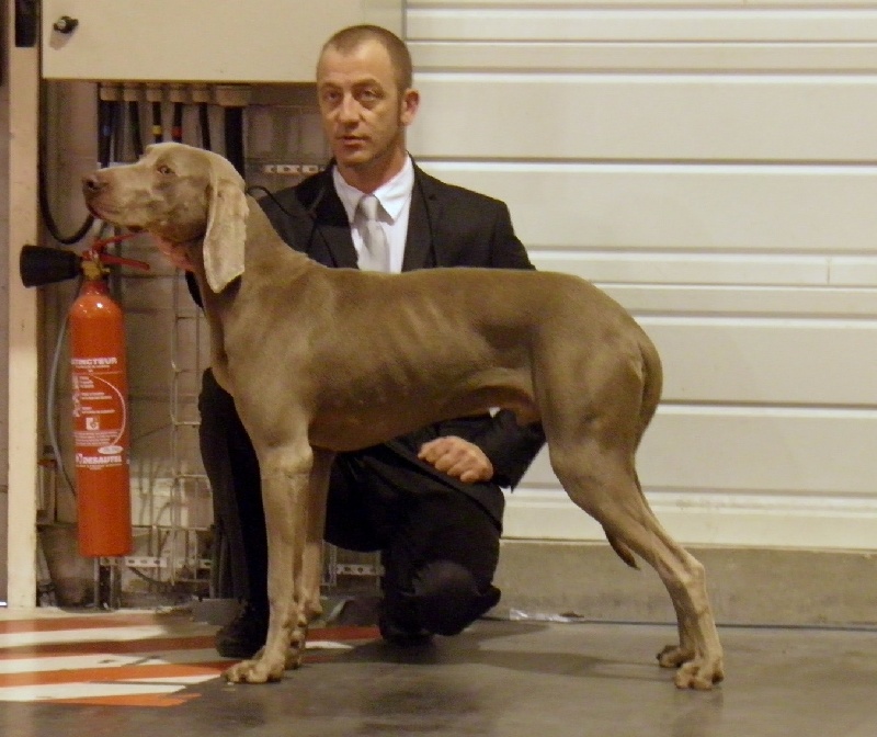 Absyss (Sans Affixe) - 2 iem Trés Bon