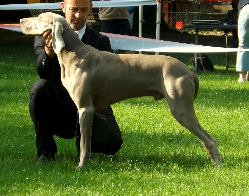 Absyss (Sans Affixe) - 1 er Excellent Classe Intermediaire