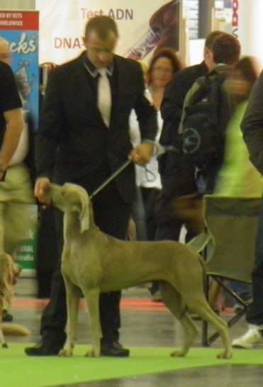 Absyss (Sans Affixe) - Trés Bon