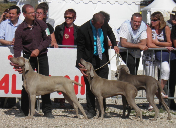 Absyss (Sans Affixe) - 3 Iem Meilleur lot d' elevage