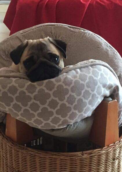 Publication : des Etoiles De Merida Auteur : Audrey