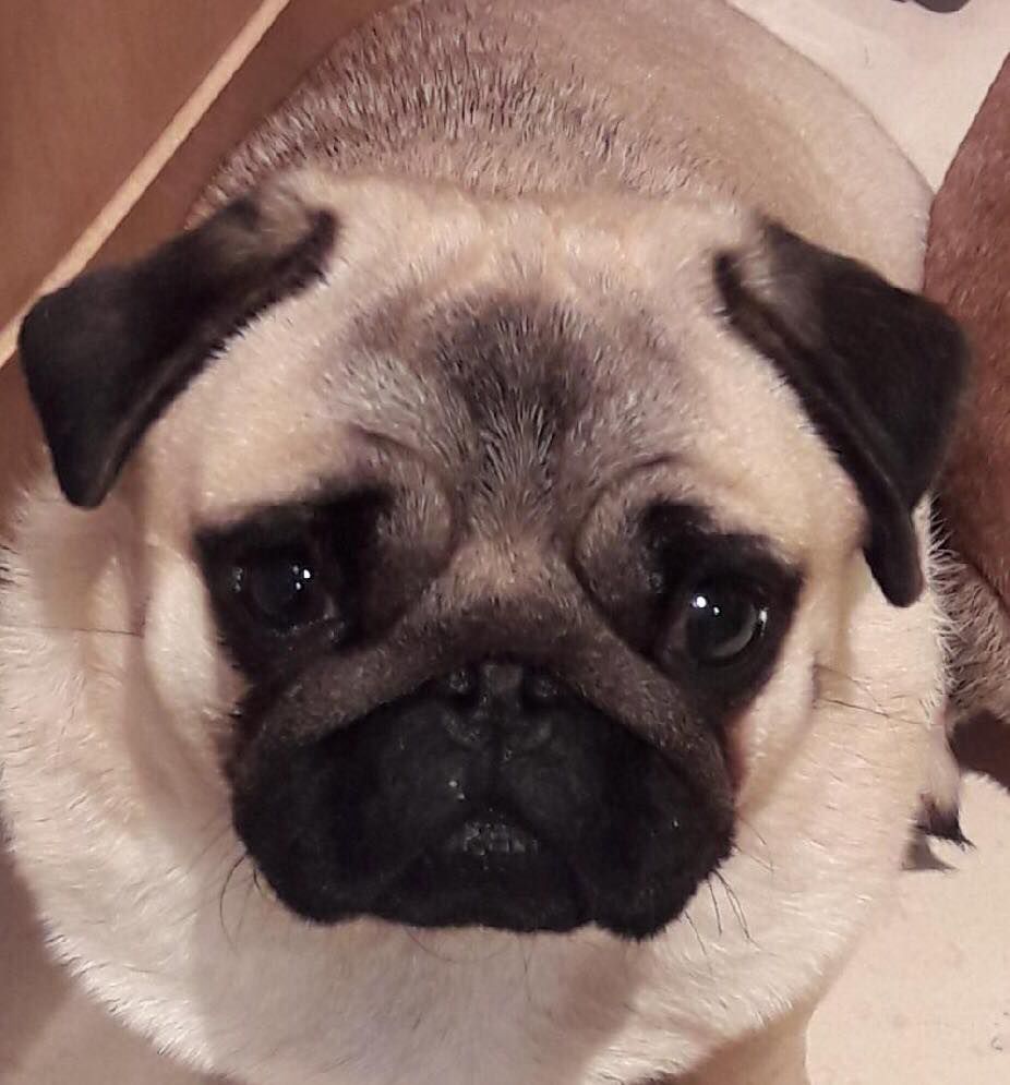 Publication : des Etoiles De Merida Auteur : Audrey