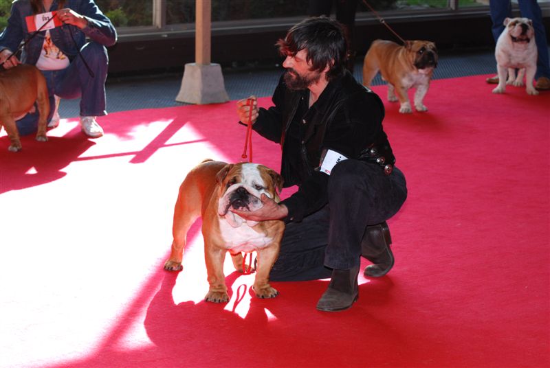 Publication : Bouillbulli's Auteur : M BOUILLON