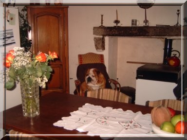 Publication : Bouillbulli's Auteur : M BOUILLON