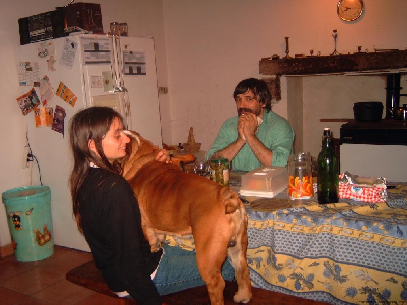 Publication : Bouillbulli's Auteur : M BOUILLON