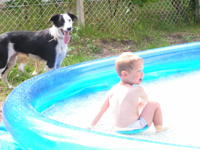 Publication : du Clos de Nétilia