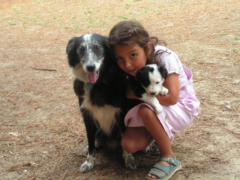 Publication : du Clos de Nétilia