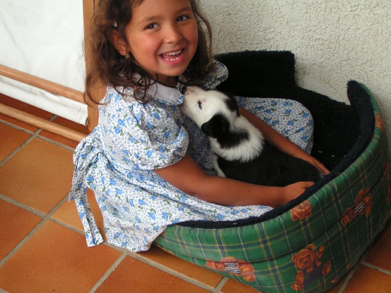 Publication : du Clos de Nétilia