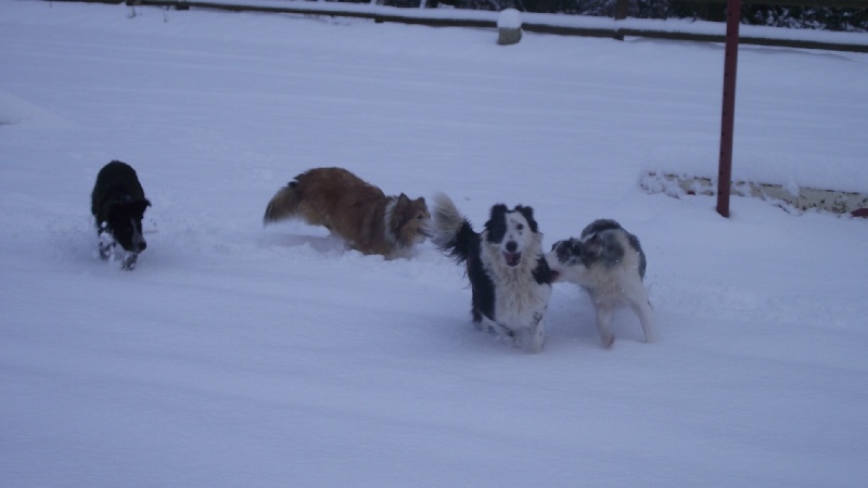 Publication : du Clos de Nétilia