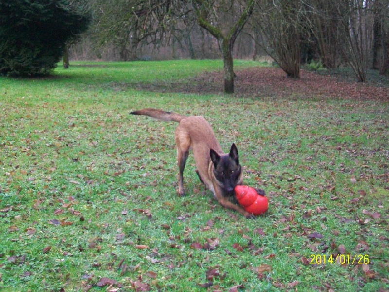 Publication : des Bergers De Turons Auteur : vassard alexandra