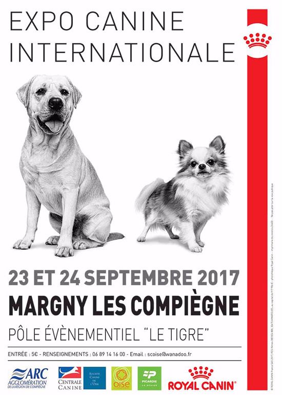 CH. Miss-dior Des senteurs d'opium - Classe Intermèdiaire Femelles: 1ére EXCELLENTE CACS & CACIB