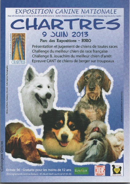 CH. Emma-lou de l'ère du scorpion - Classe Champion Femelles : 2 éme EXCELLENT