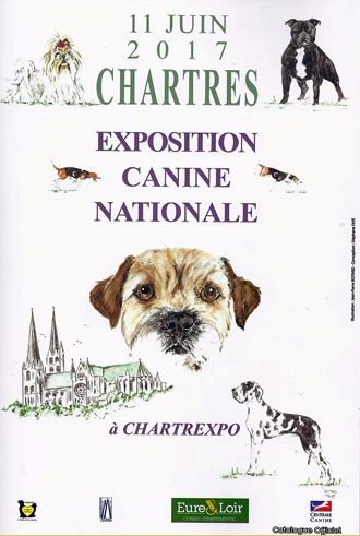 CH. Guang-zhao Des Plissés Du Maoling - Classe Champion Mâles: 1er EXCELLENT