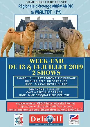 CH. Miss-dior Des senteurs d'opium - Classe champion femelles: 2éme Excellent