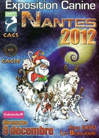 CH. Guang-zhao Des Plissés Du Maoling - classe jeune mâles: 2 éme Excellent