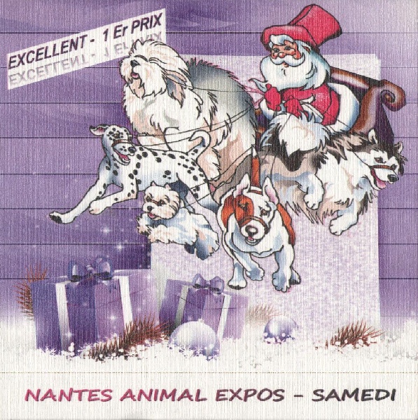 CH. Miss-dior Des senteurs d'opium - Classe jeune femelles: 1ére EXCELLENTE & MEILLEUR JEUNE