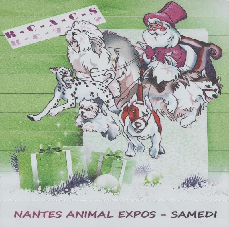 CH. Guang-zhao Des Plissés Du Maoling - classe ouverte mâles: 2 éme EXCELLENT R-CACS