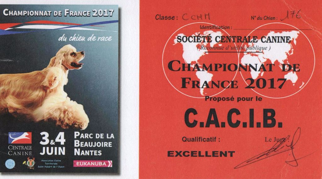 CH. Guang-zhao Des Plissés Du Maoling - Classe Champion Mâles: 1er EXCELLENT CACIB