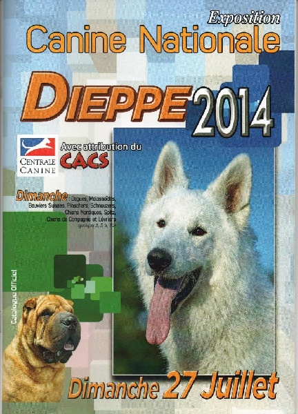 CH. Guang-zhao Des Plissés Du Maoling - Classe ouverte mâles : 3éme EXCELLENT