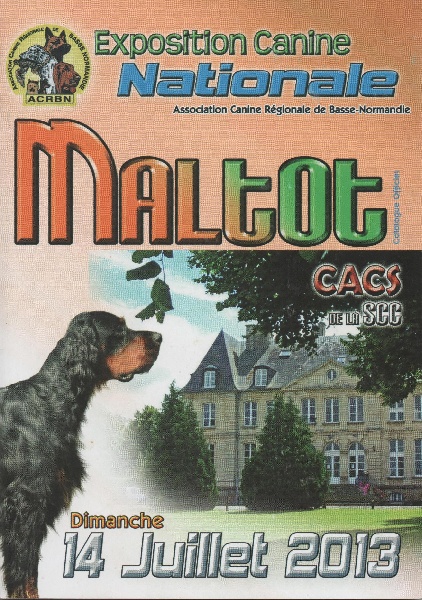 CH. Guang-zhao Des Plissés Du Maoling - classe intermédiaire mâles: 1er EXCELLENT CACS