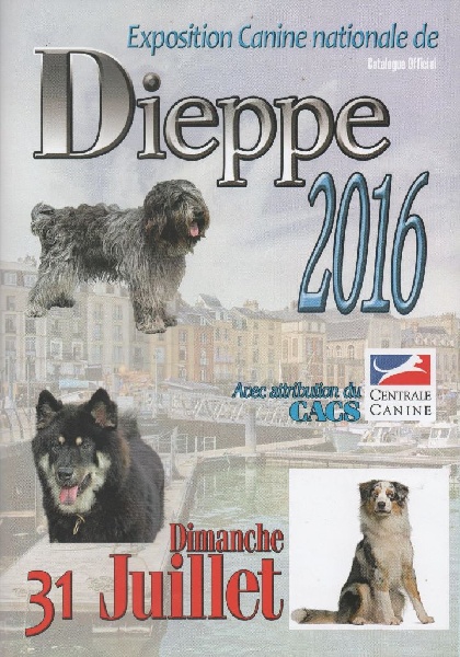 CH. Miss-dior Des senteurs d'opium - Classe puppy femelles: 1ére TRES PROMETTEUR & BEST PUPPY